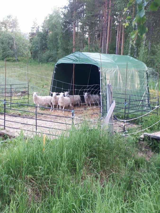 Skabram Bed & Breakfast Jokkmokk Eksteriør bilde